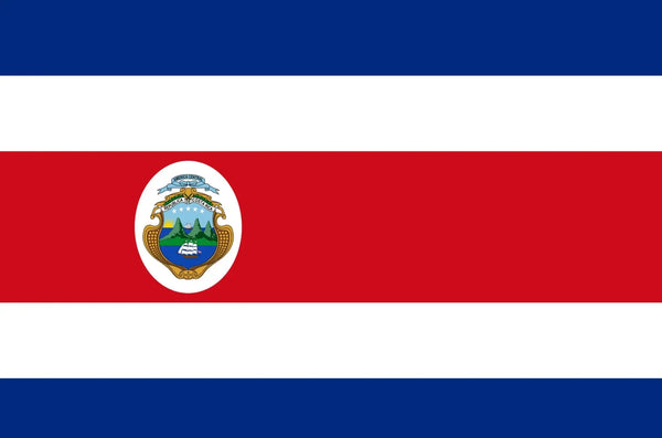 Costa Rican Traditional Dresses & Blouses - VivianFongDesignsLLC