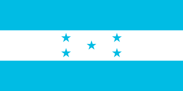 Honduran Traditional Dresses - VivianFongDesignsLLC