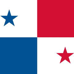 Panama Traditional Dresses & Tembleques - VivianFongDesignsLLC