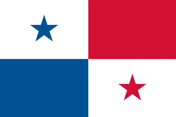 Panama Traditional Dresses & Tembleques - VivianFongDesignsLLC